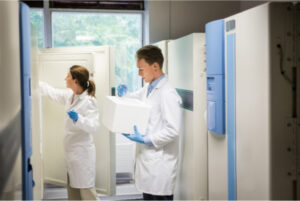 vaccine cold chain