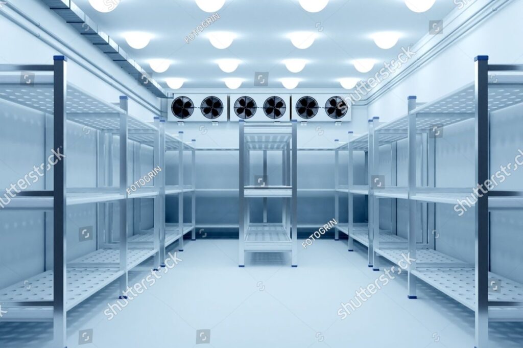 Energy-Efficient Cold Room Design: What to Look For